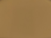 Beżowa błyszcząca folia przeciwżwirowa Polor High Gloss Desert Beige / PPF-1016G