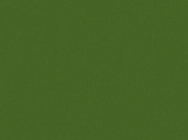 Zielony błyszcząca folia przeciwżwirowa Polor High Gloss Mamba Green / PPF-1017G