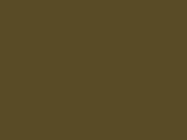 Zielony błyszcząca folia przeciwżwirowa Polor High Gloss Military Green / PPF-1003G