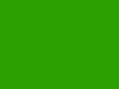 Zielony błyszcząca folia przeciwżwirowa Polor High Gloss Vivid Green / PPF-1041G